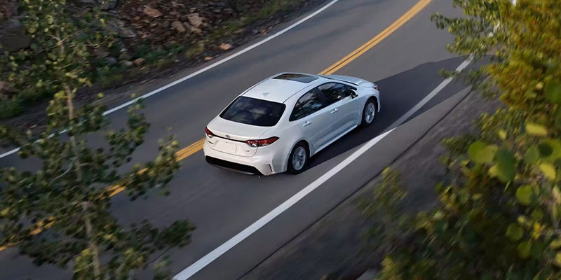 High-angle shot of a white car driving on a winding paved road bordered by trees.