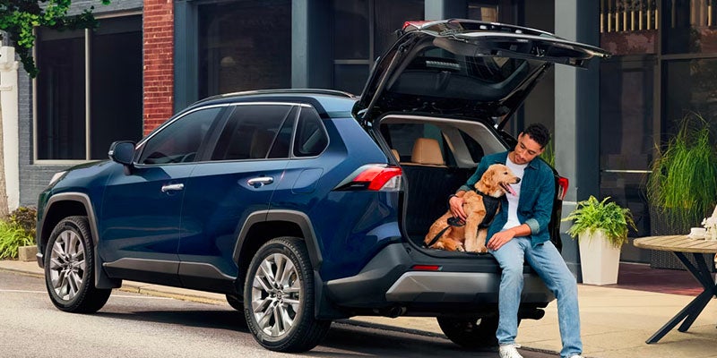 A man sits in the open trunk of a blue SUV petting a golden retriever in the cargo area.