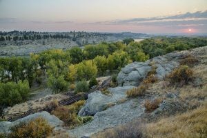 great falls montana waterfall in the forest