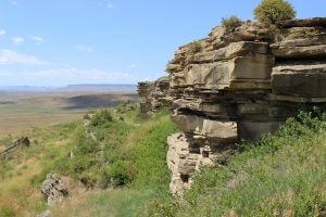 cliff great falls montana
