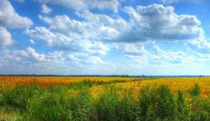 Best Places for a Fall Hike in Salina