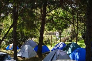 3 Best Places for Fall Camping in Salina, KS