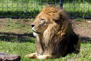 3 Things to Do in Salina, Kansas
