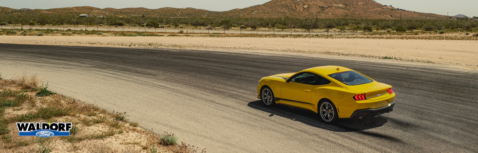 2026 Mustang_rear