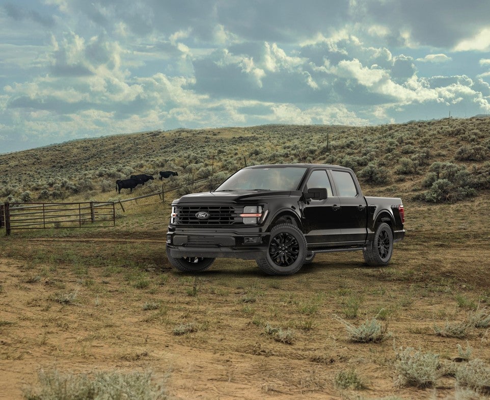 Ford F-150 XL and XLT