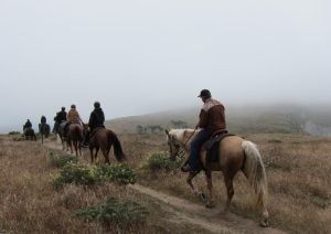 horseback riding