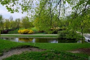 park scene