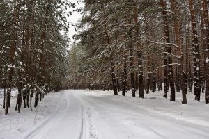 winter