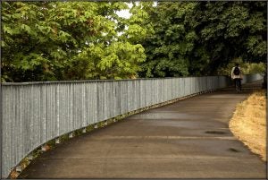 Outdoor Path