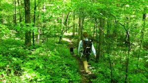 Springdale Nature Trails | Rath Auto Resources NWA