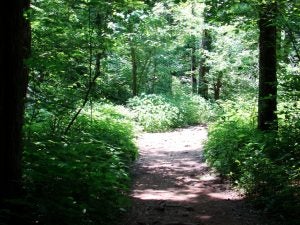 hiking trail