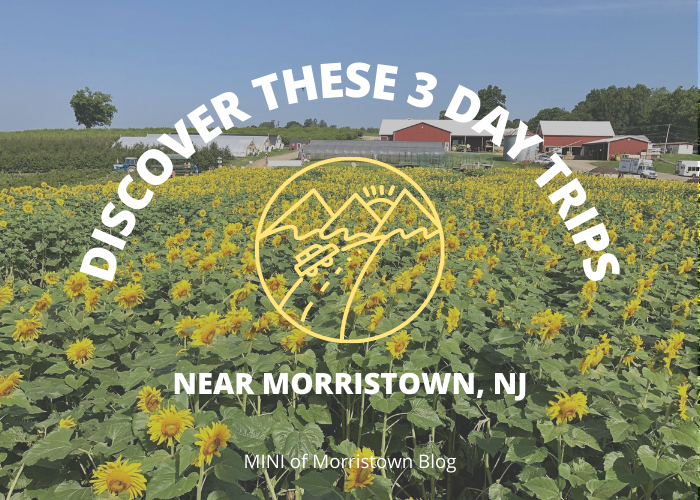 Morristown, NJ Tourism