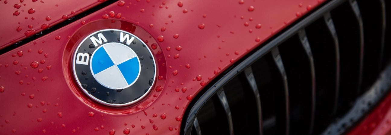 Closeup photo of BMW roundel and grille
