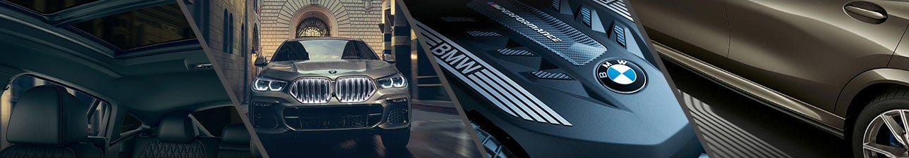 2020 BMW X6