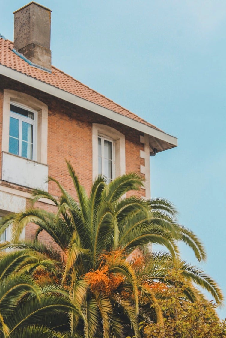 Palm trees swaying in the fall breeze