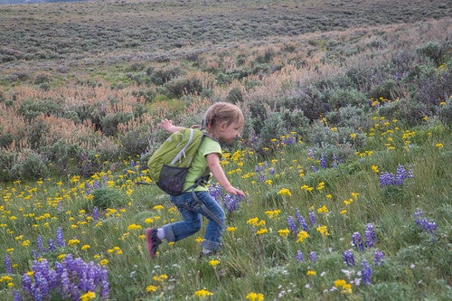 Child running in tall grass in a field with yellow and purple flowers