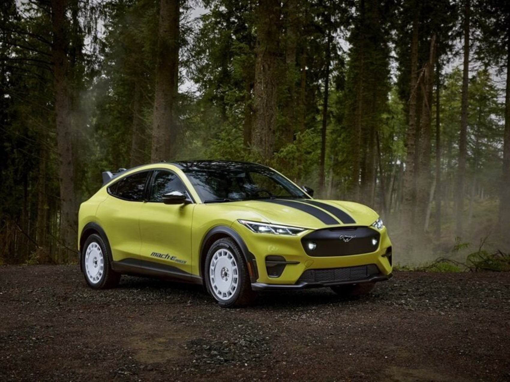 Electric Vehicles for Sale Grand Ledge MI