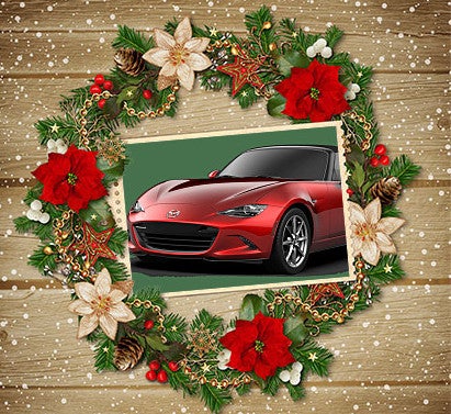 surprise car for christmas