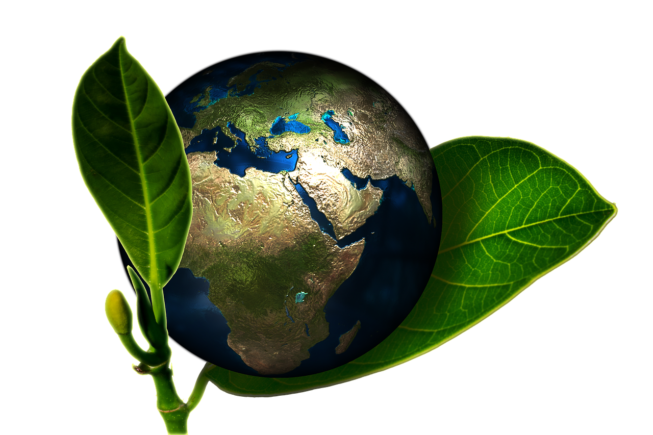 GREEN ENEGY