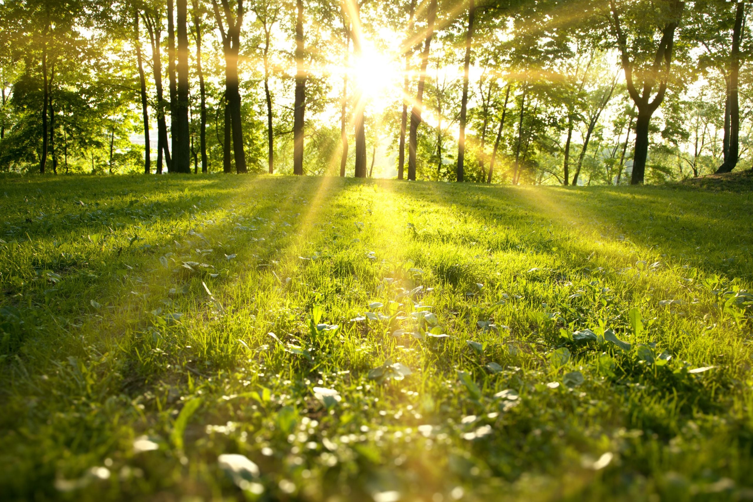 how to take care of your car for summer in madison ct