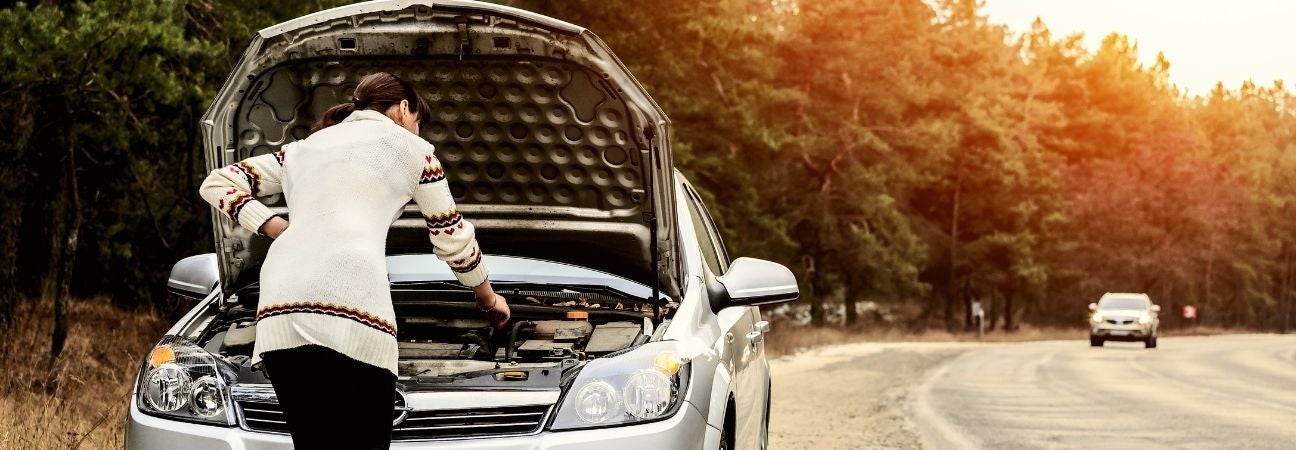 zimbrick body car break down