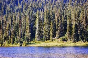 Mount Rainier National Park | Burien Chevrolet in Burien, WA