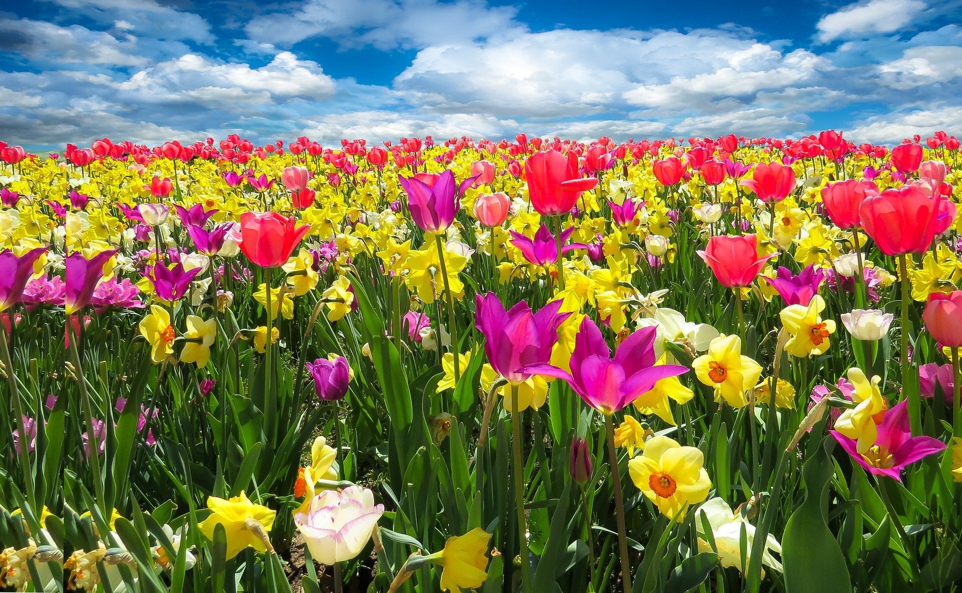 spring events