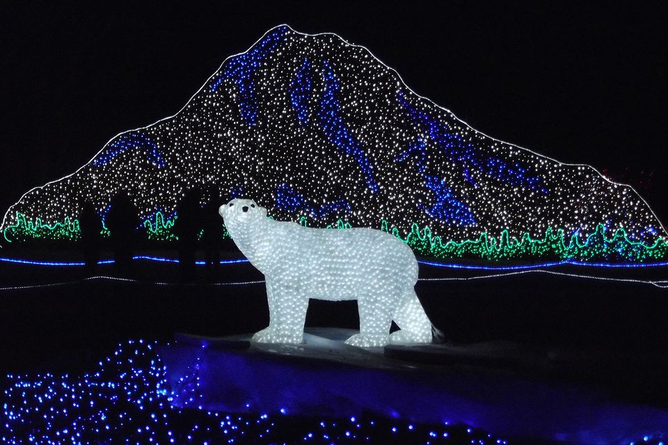 zoolights