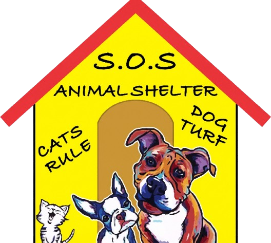 Save Our Strays Animal Shelter