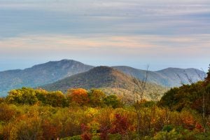 Hiking Trails in Sterling, VA
