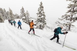 People Skiing in the snow