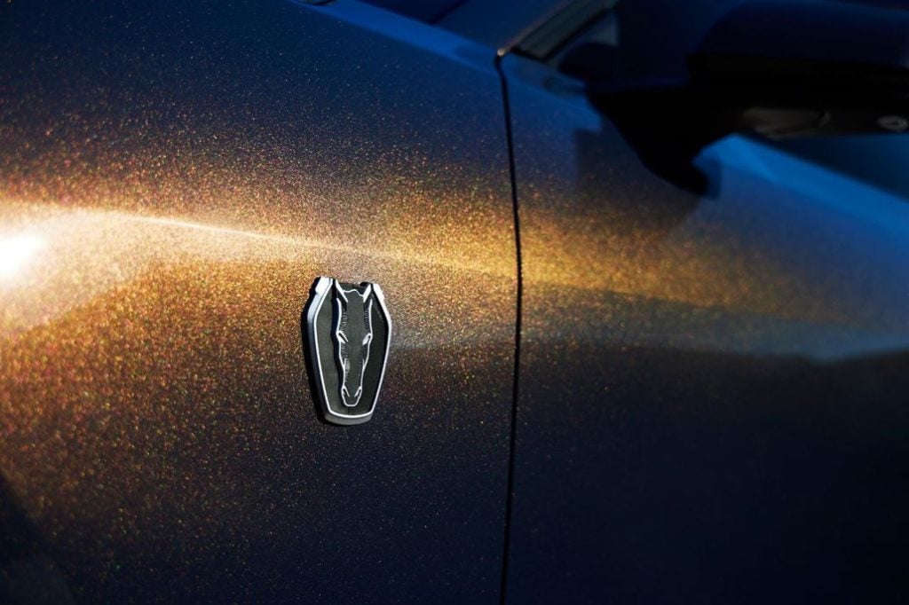 Ford Mustang Dark Horse Badge Close-Up