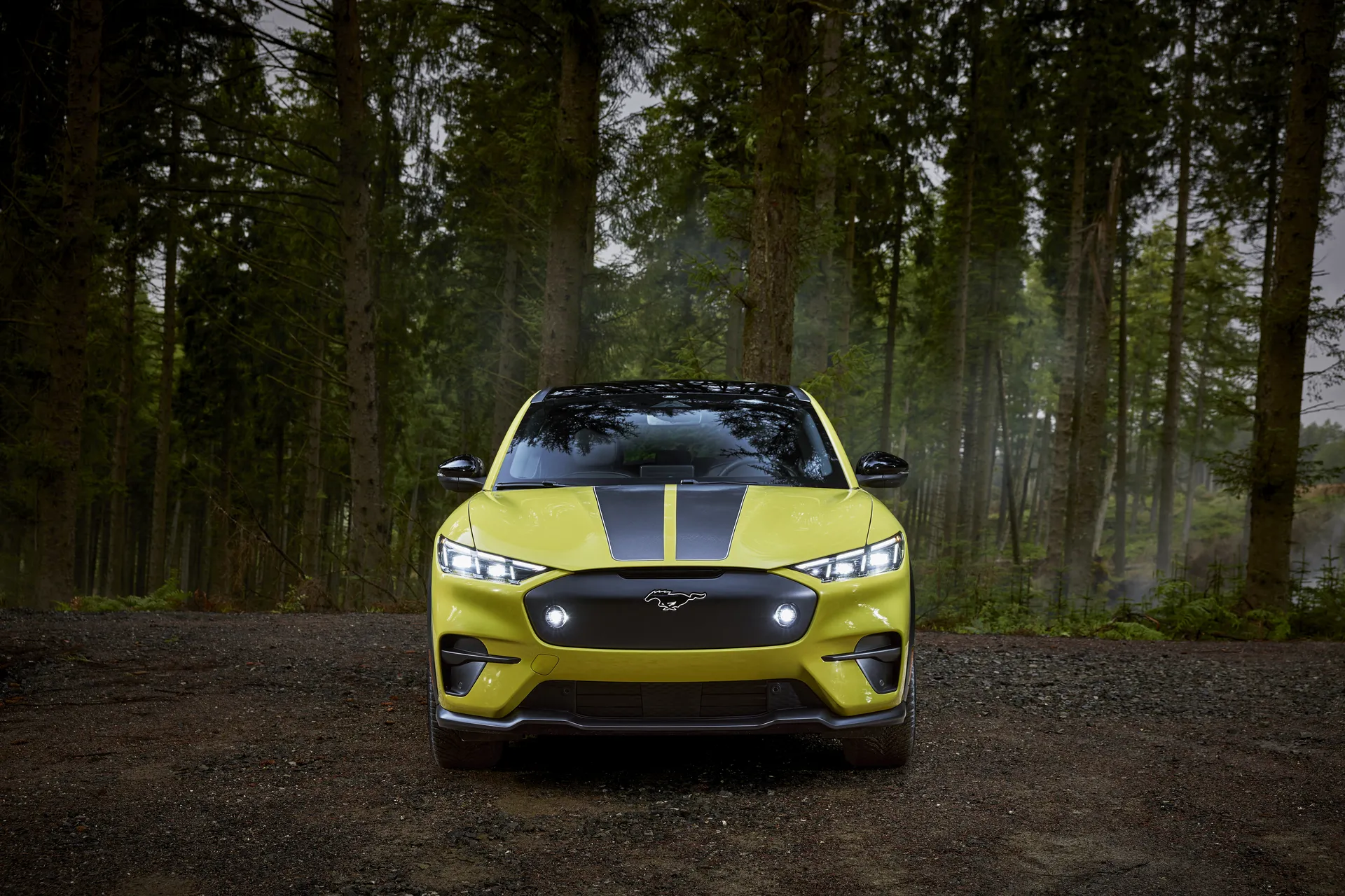 Front View of Ford Mach-E Rally