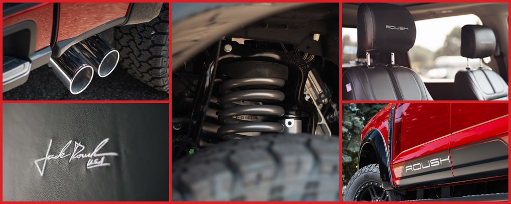 Exclusive Roush Features