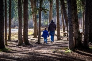 family activities near dahlonega