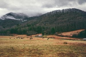 dahlonega