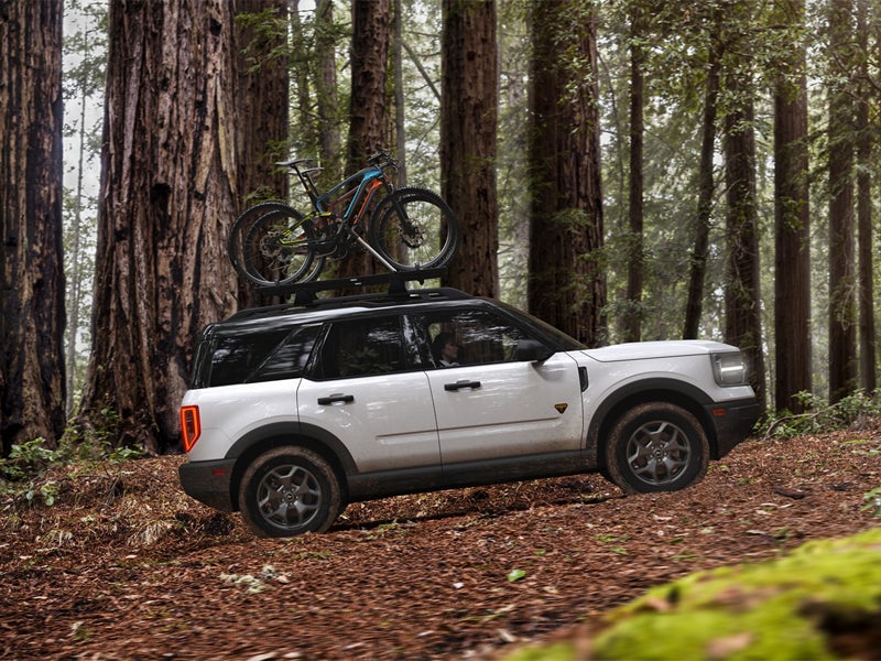 Prestige Ford of Mount Dora - Custom Order New Ford near Orlando FLL