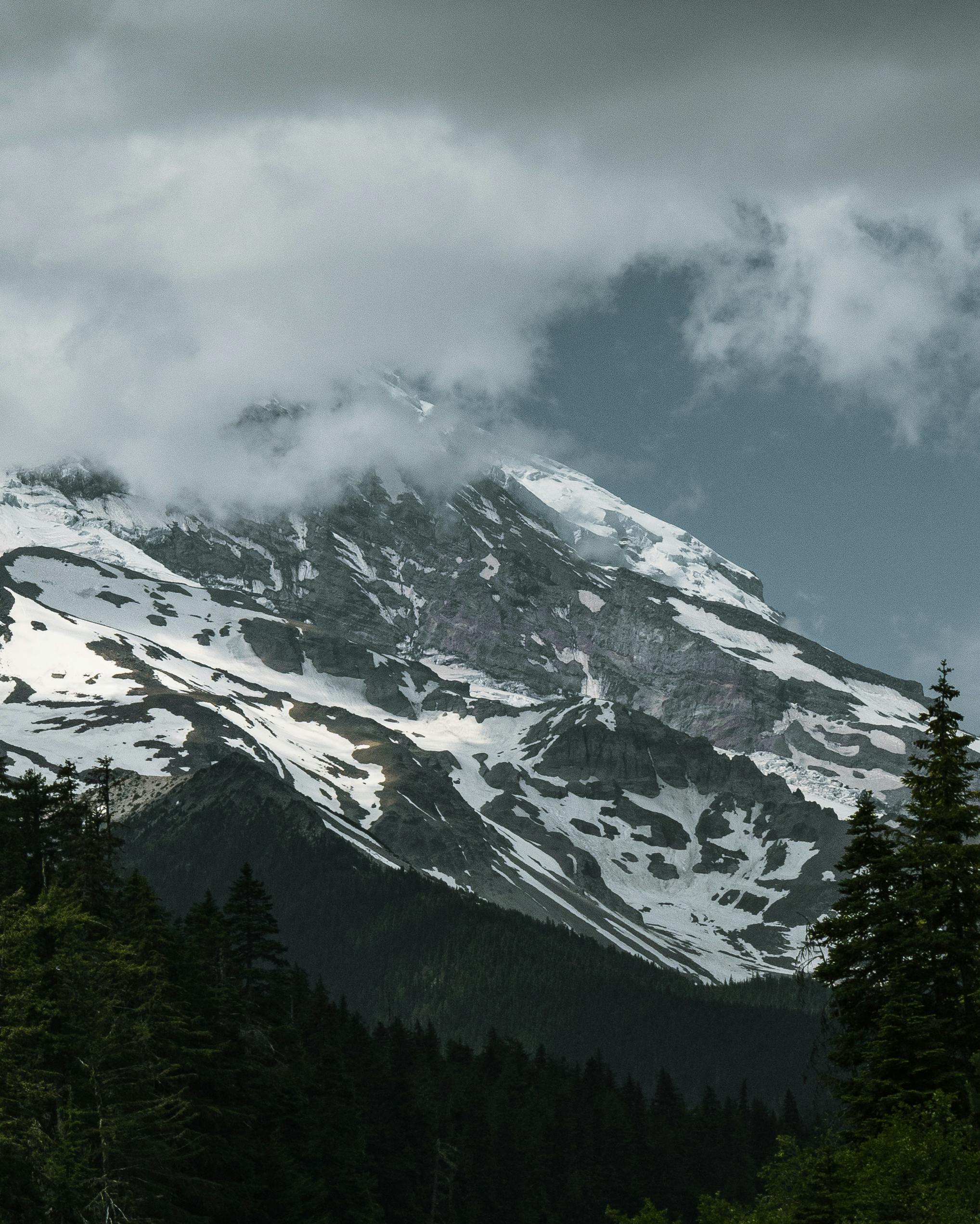 pexels-mgnationstudios-17355630