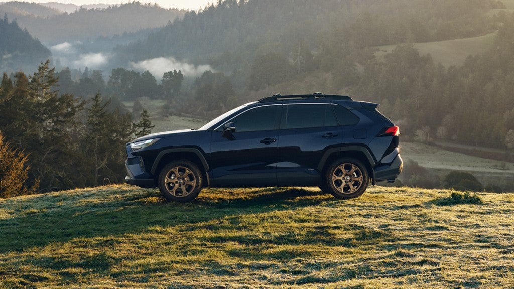A dark blue Toyota RAV4 Hybrid parked on the edge of a grassy hill.