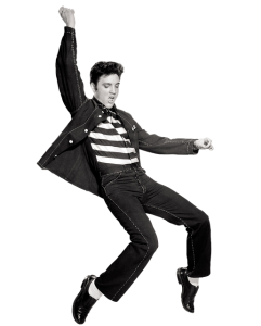 Madison Wisconsin Elvis Presley