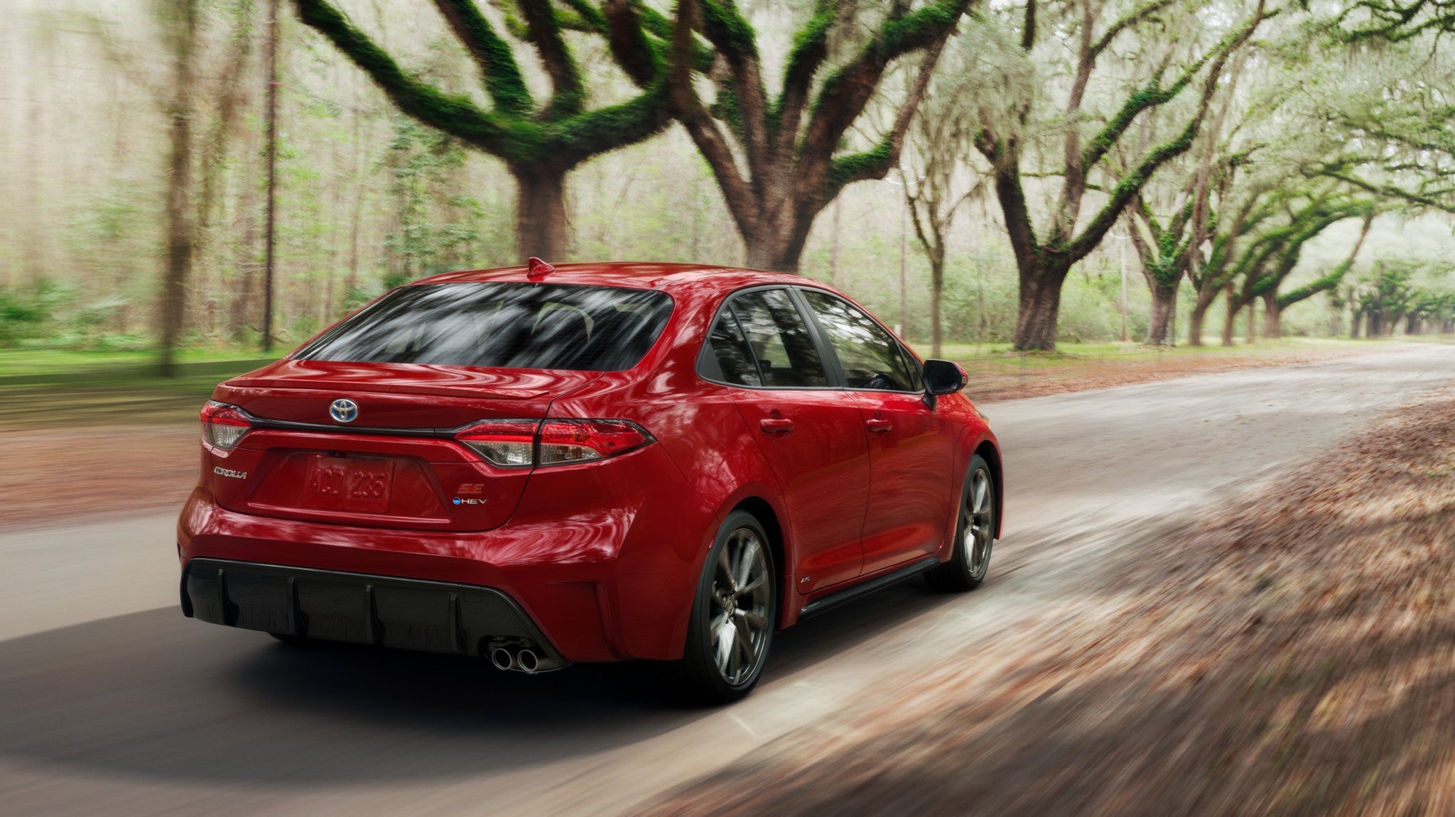 A red Toyota Corolla Hybrid driving down the road through a forest.