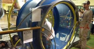A human sized gerbil wheel at the Madison Children's Museum