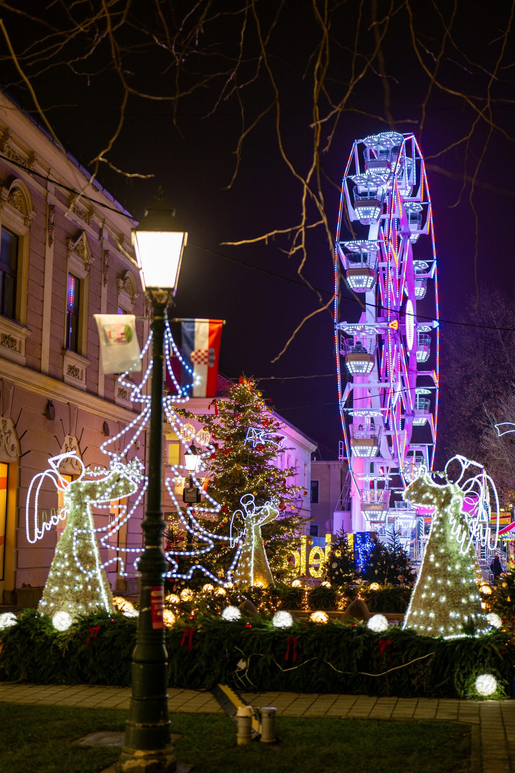 pexels-vladimirsrajber-35098866