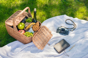 picnic in a park