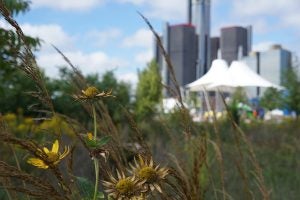 Spring in Detroit, MI