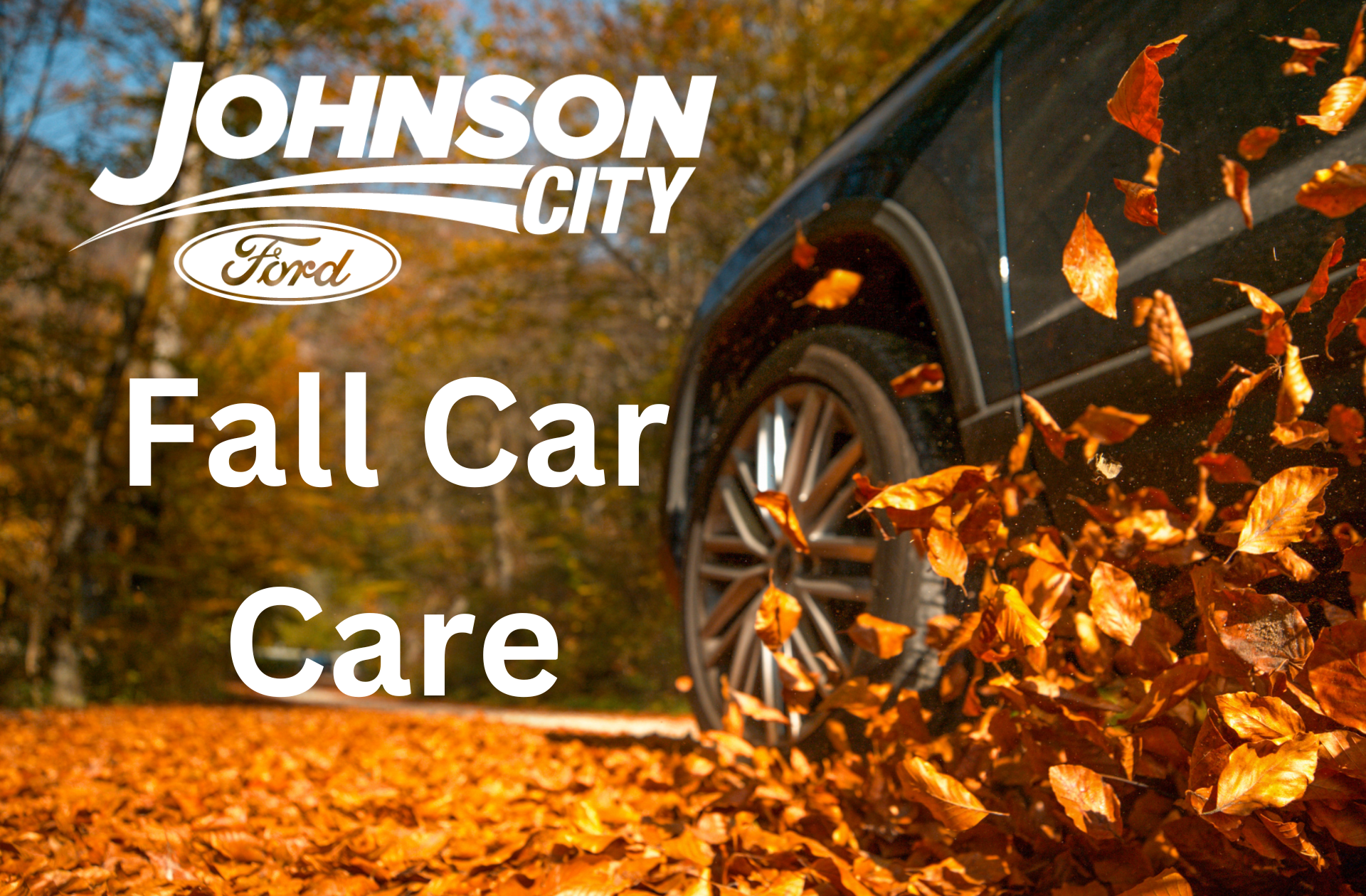JCF2210-Fall Car Care Cover