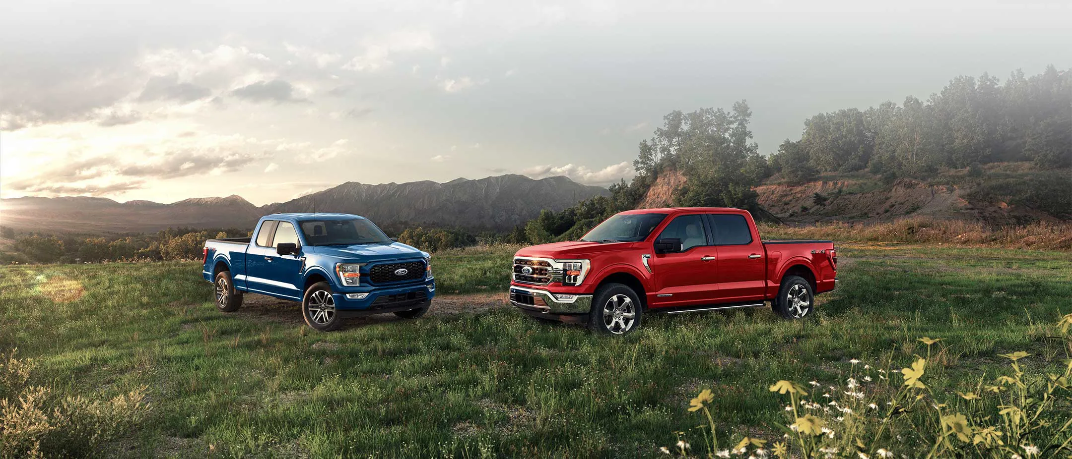 Two Ford F-150s in a field