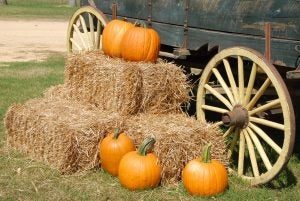 Deep Well Farm in Lenoir City, TN