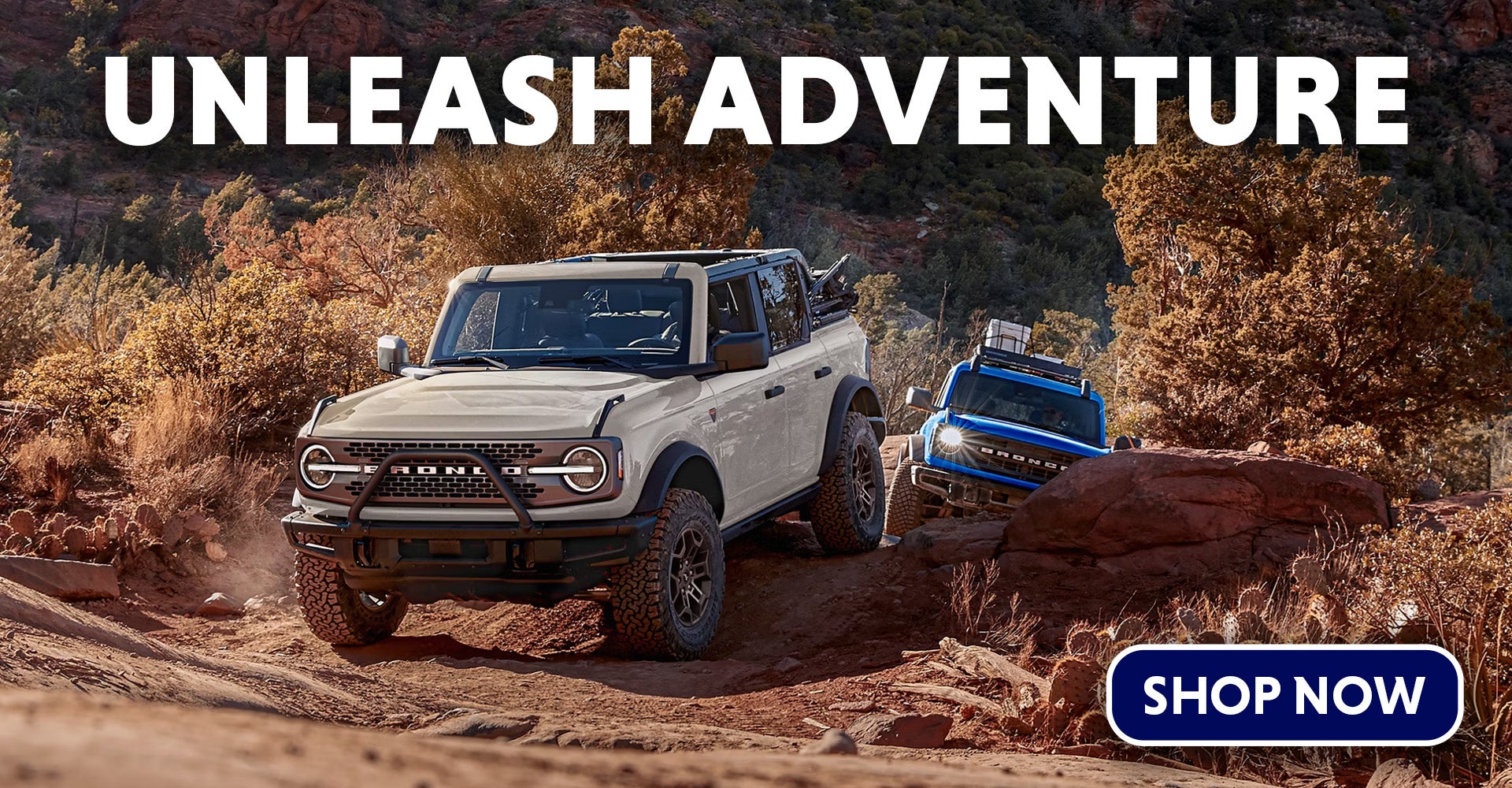 Ford Bronco off-road