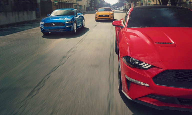2019 Ford Mustangs on road